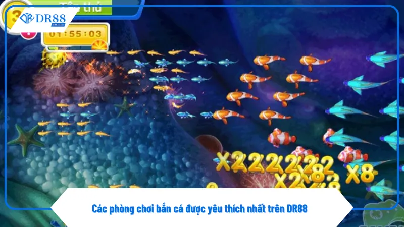 Phòng tân thủ phù hợp với người mới làm quen trò chơi