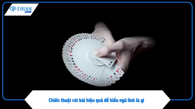 DR88 cung cấp luật chơi minh bạch liên quan đến ngũ linh là gì