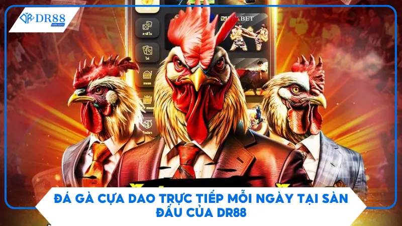Đá Gà Cựa Dao Trực Tiếp Mỗi Ngày Tại Sàn Đấu Của Dr88