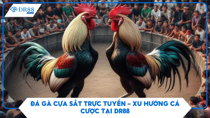 Đá Gà Cựa Sắt Trực Tuyến – Xu Hướng Cá Cược Tại DR88