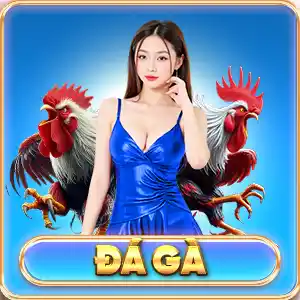 đá gà dr88