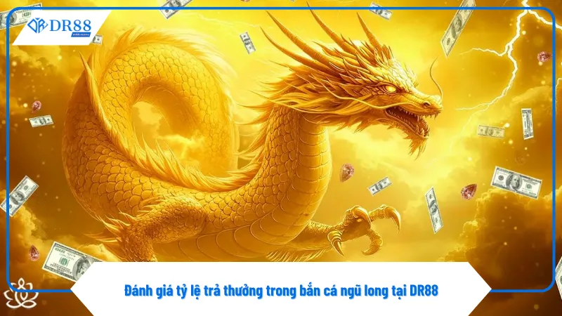 Khuyến mãi mang đến nhiều quyền lợi hấp dẫn cho người chơi