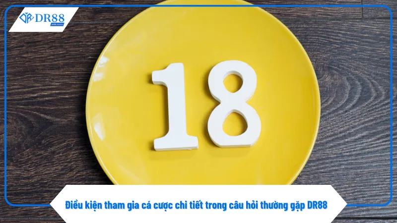 Người chơi phải đủ 18 tuổi theo câu hỏi thường gặp của DR88