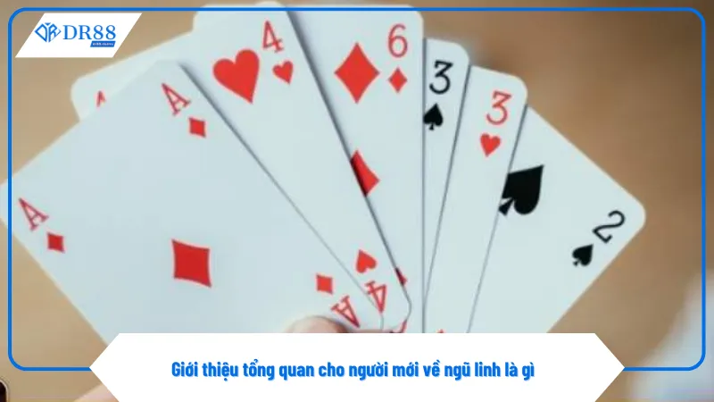 Ngũ linh là gì là khái niệm quan trọng trong game xì dách