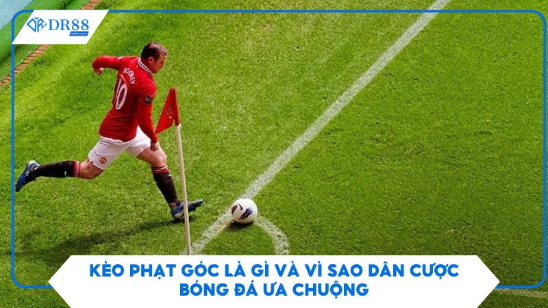 Kèo Phạt Góc Là Gì Và Vì Sao Dân Cược Bóng Đá Ưa Chuộng