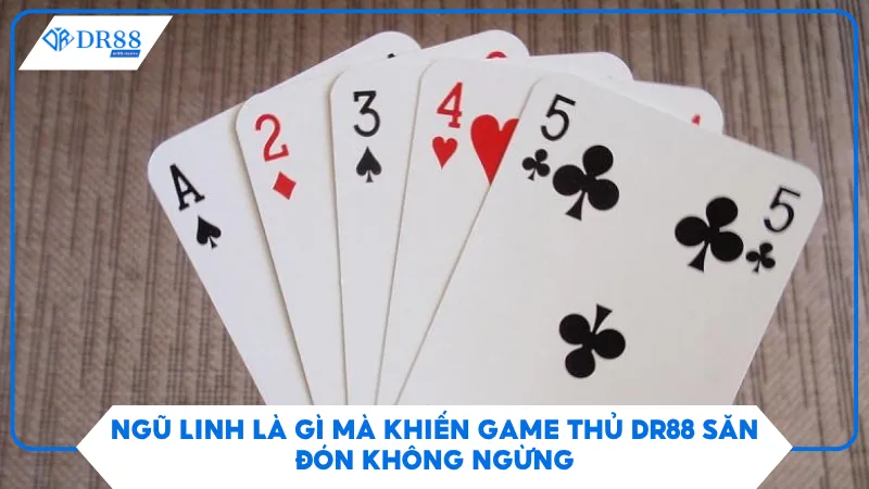 Ngũ Linh Là Gì Mà Khiến Game Thủ Dr88 Săn Đón Không Ngừng