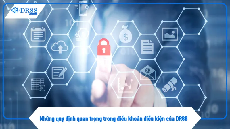 Điều khoản điều kiện giúp bảo vệ quyền lợi người chơi DR88