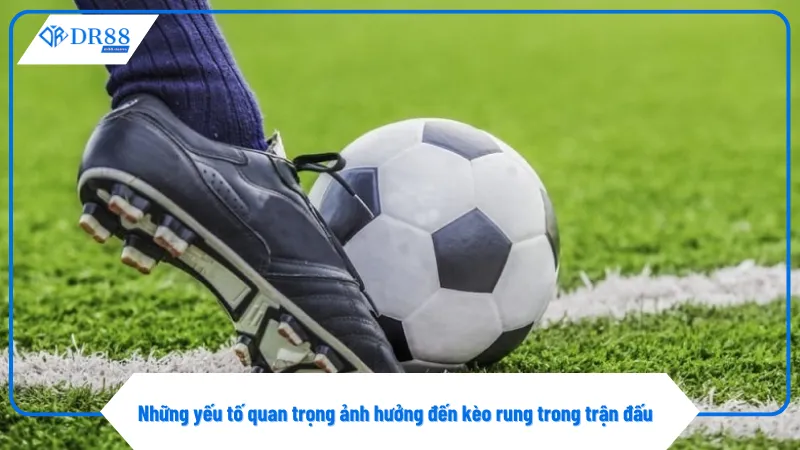 Phong độ đội bóng quyết định biến động kèo rung rất lớn